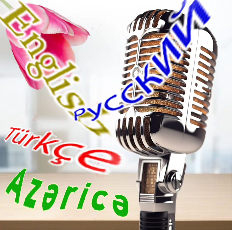 Услуги перевода, устные переводы