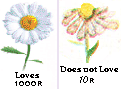 Loves or not flower